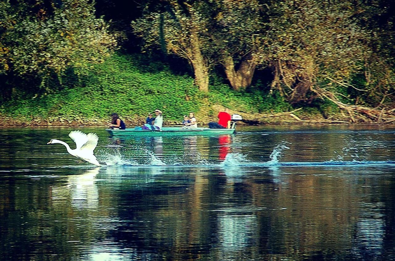 Zagreb, Kuca Za Odmor Swan River House Holiday home *