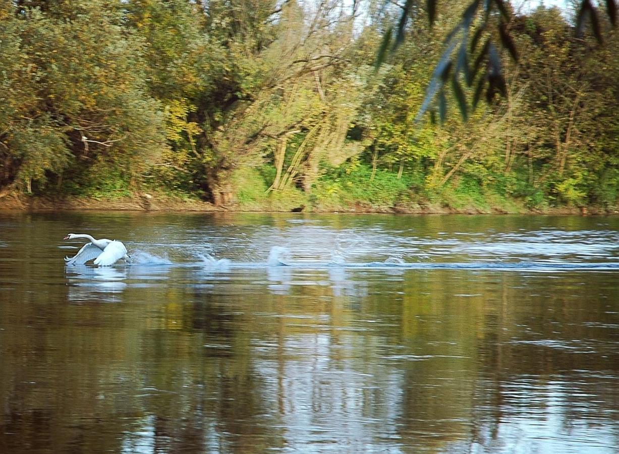 Holiday home Zagreb, Kuca Za Odmor Swan River House