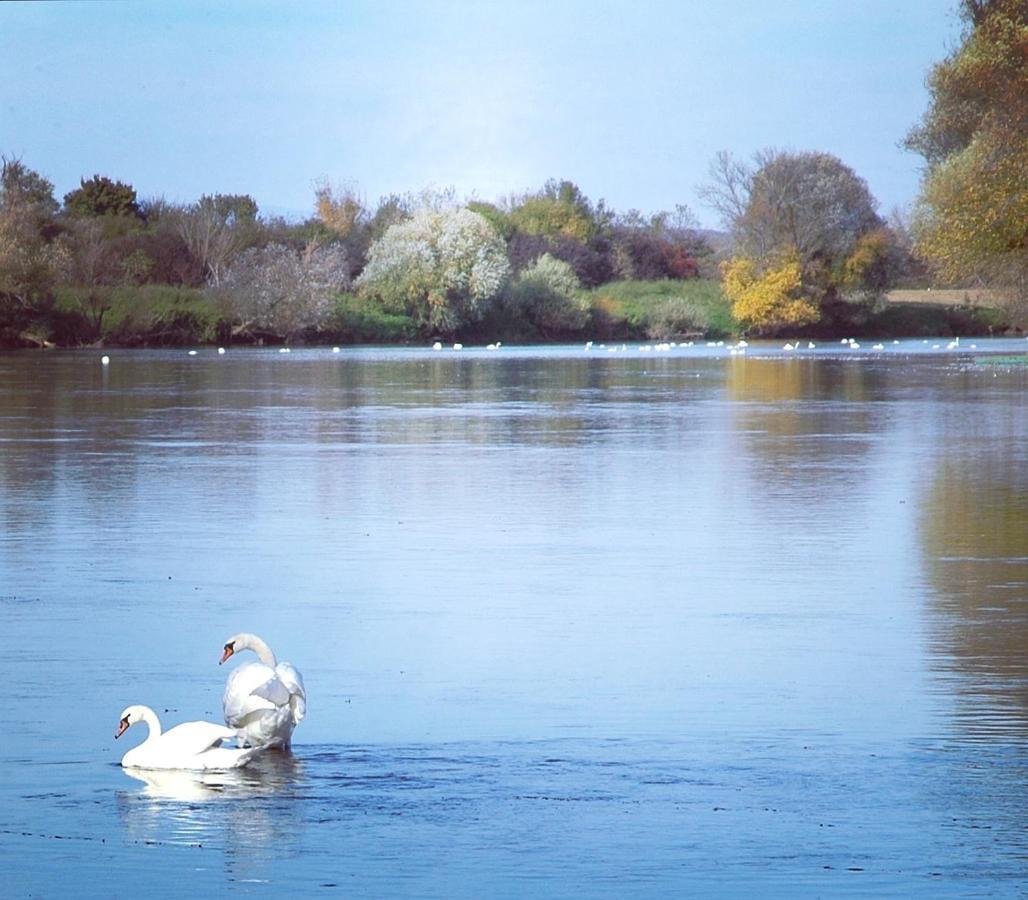 Holiday home Zagreb, Kuca Za Odmor Swan River House *